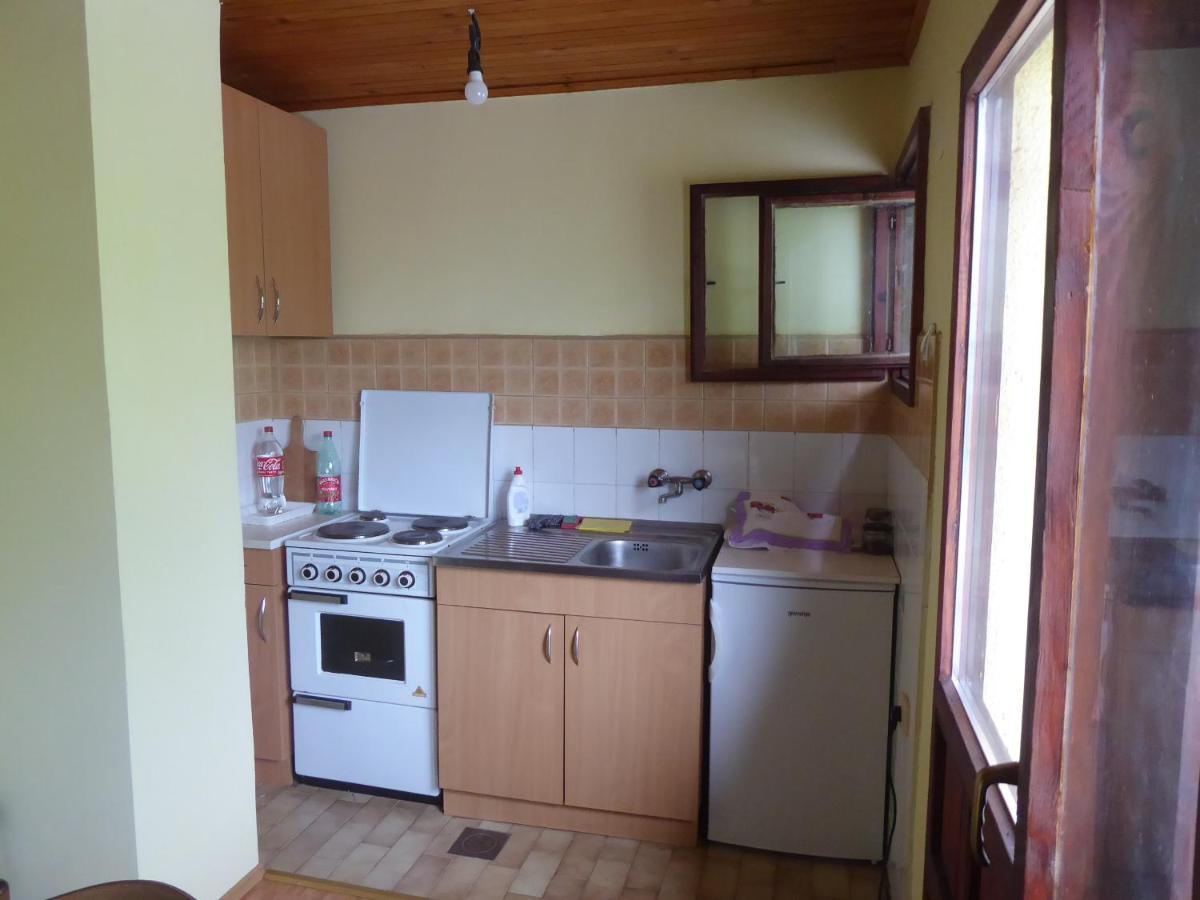 Guest House Pribojska Banja エクステリア 写真