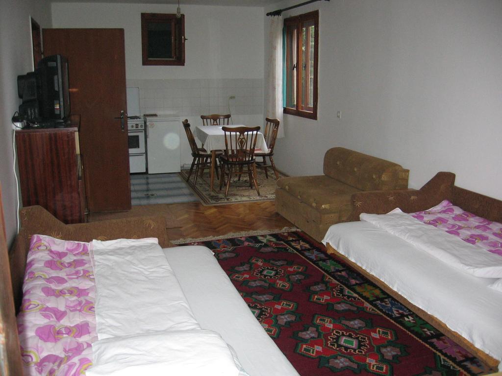 Guest House Pribojska Banja エクステリア 写真