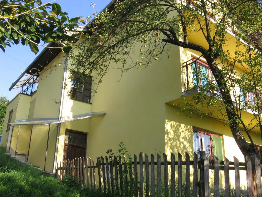 Guest House Pribojska Banja エクステリア 写真