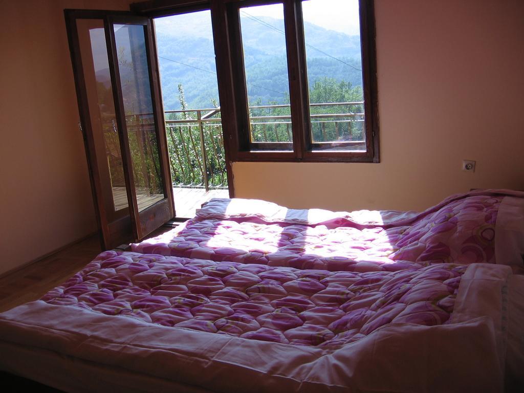 Guest House Pribojska Banja エクステリア 写真