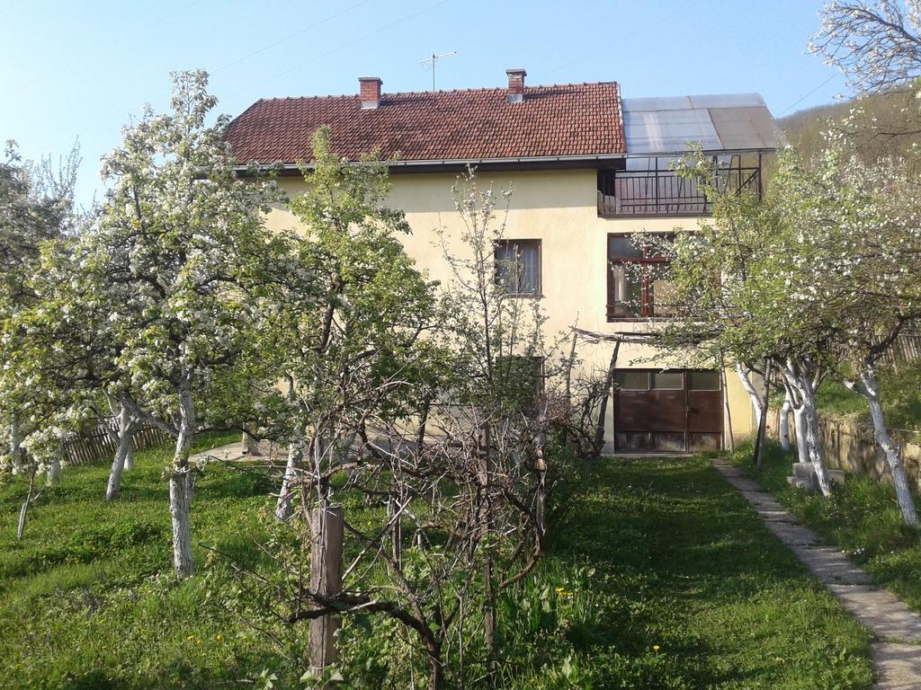 Guest House Pribojska Banja エクステリア 写真